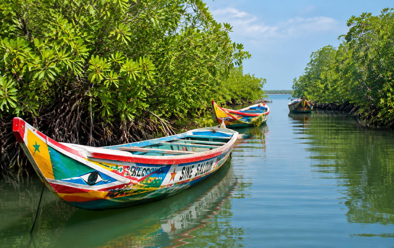 Piraguas en el Delta del Saloum